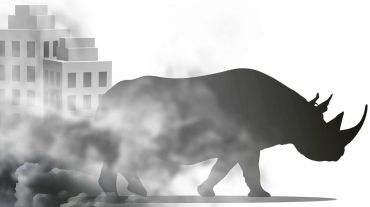 [POPSU] Quand les start-up rencontrent un rhinocéros gris