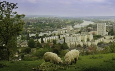 INTER-ACTIONS ou comment repenser le périurbain 